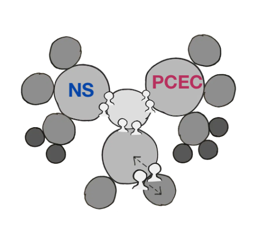 NS-PCEC-MOU